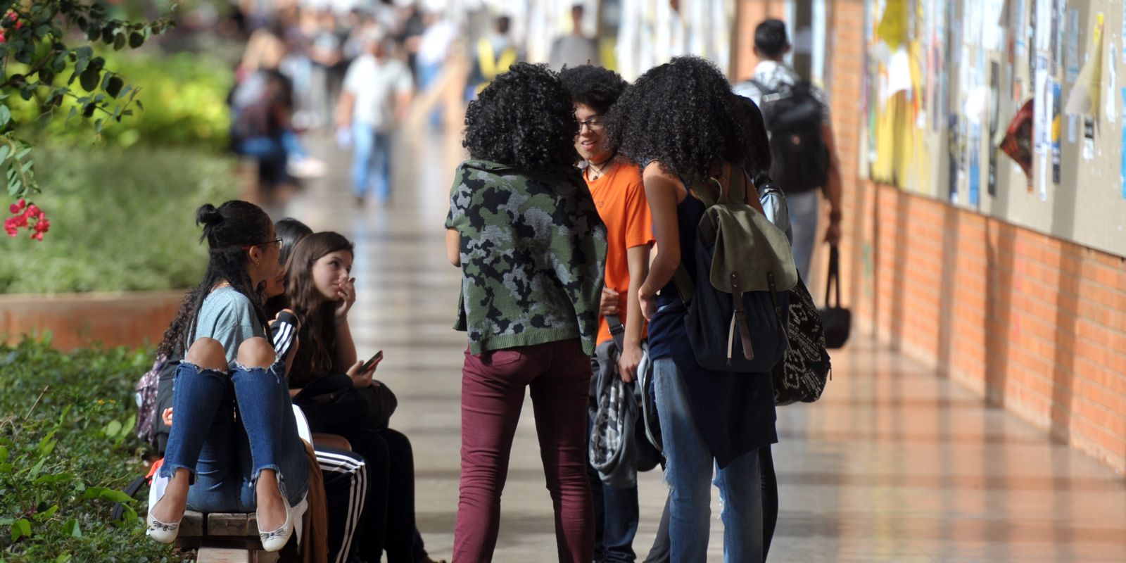 Número de alunos de ensino superior aumenta em 2023 e 2024