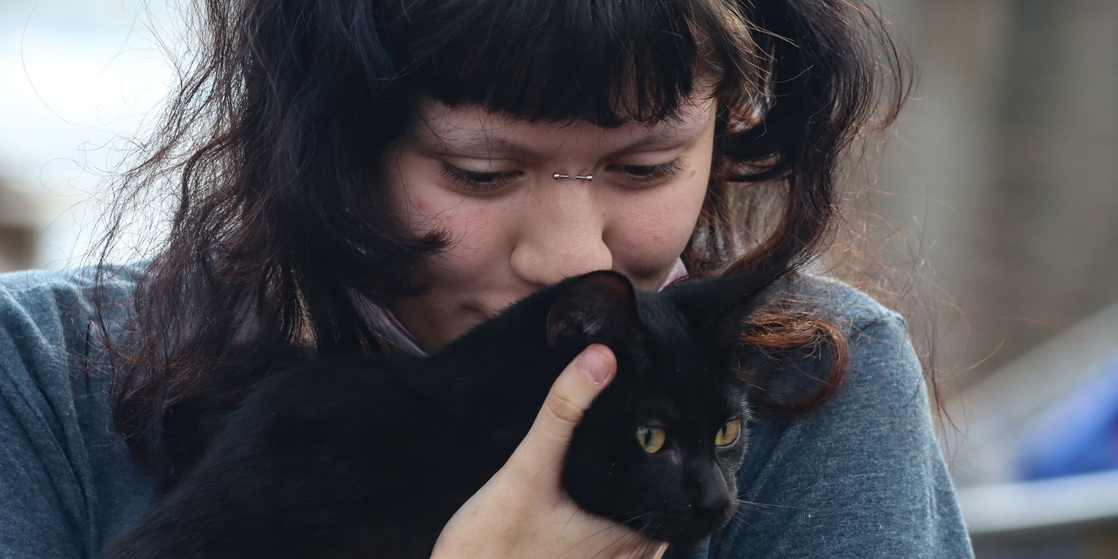 Programa da Prefeitura de SP faz castração gratuita de cães e gatos